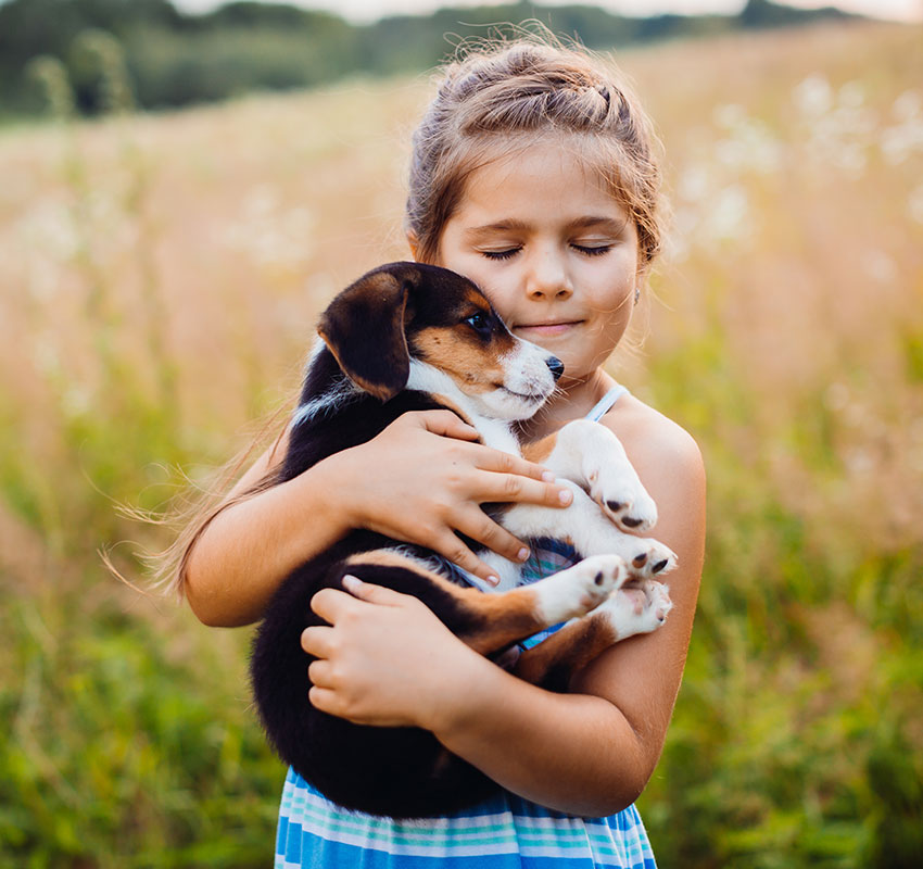 sec6-new-puppy.jpg