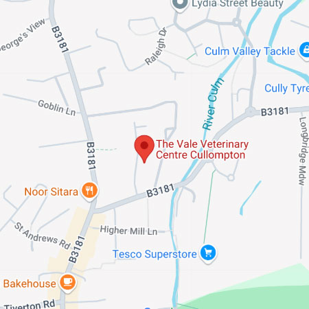 location1.jpg