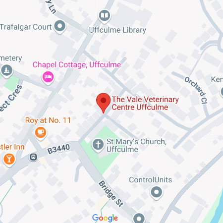 location4.jpg