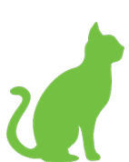cat-img-11