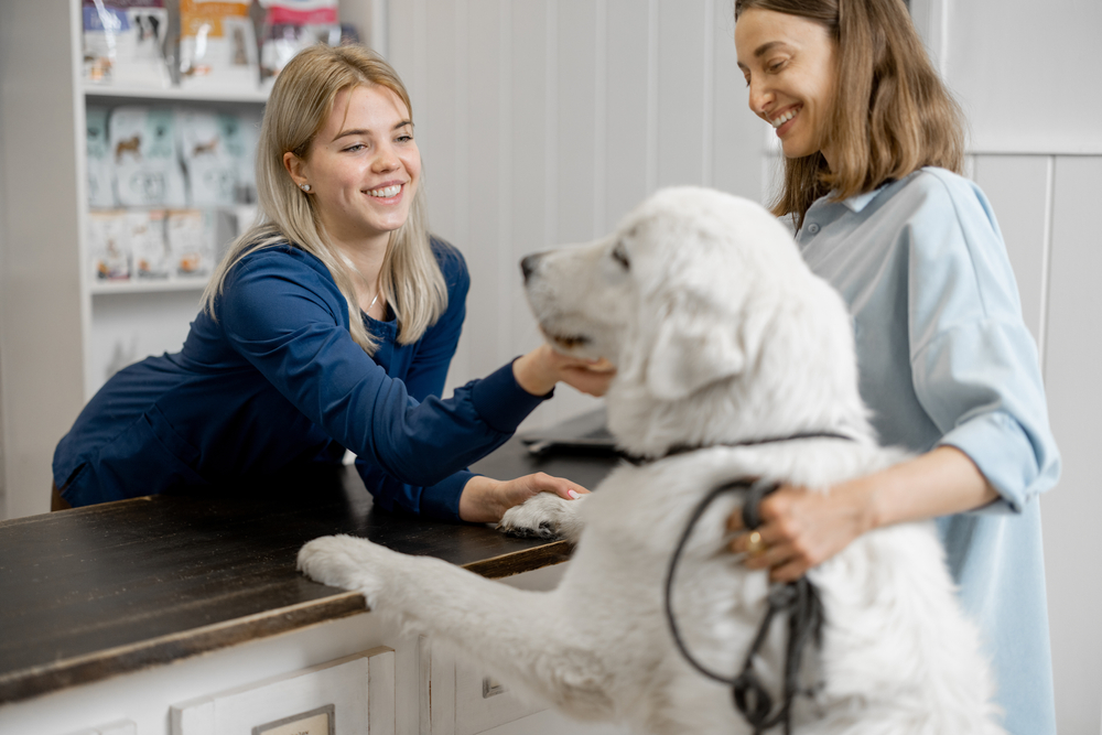 Veterinarian consulting with a dog owner during a routine health examination and discussing the pet’s care plan.