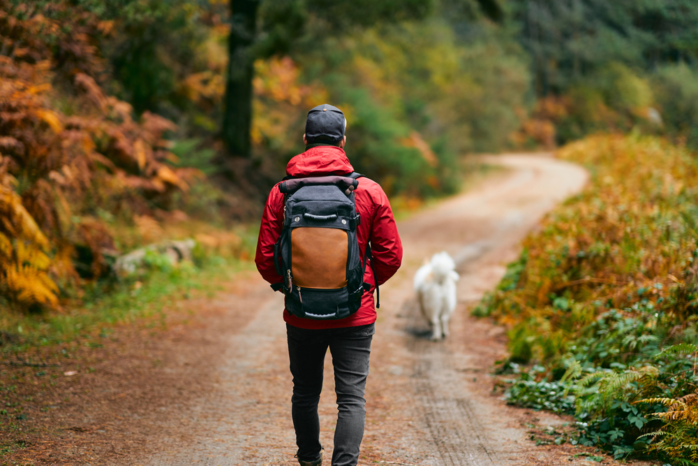 Person hiking on a forest trail surrounded by natural scenery.